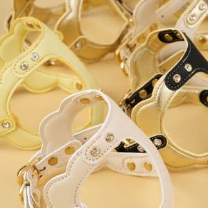 Arnés de Cuero Premium Resistente a Arañazos y Manchas para Perros, Arnés Acolchado para Pasear Mascotas con Herrajes en Tono Dorado para Perros Activos - Product Image 6