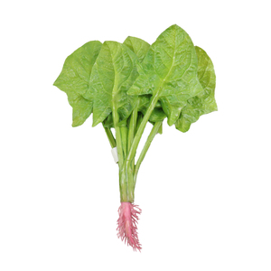 ก้านผักปลอมพลาสติก/PE ทนทาน เป็นมิตรกับสิ่งแวดล้อม เหมือนจริง ใช้ตกแต่งบ้าน ห้องครัว ซูเปอร์มาร์เก็ต - Product Image 1