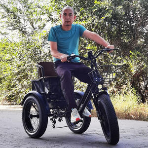 Nouveau modèle de tricycle électrique à pneus larges 48V 500W, tricycle tout-terrain pour le transport de marchandises et de passagers, vélo à trois roues pour adultes âgés avec pédales - Product Image 6