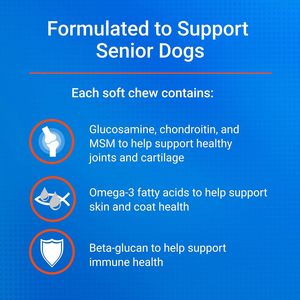 Nutramax <span class=keywords><strong>Cosequin</strong></span> Senior : Complément pour la Santé Articulaire des Chiens – Glucosamine, Chondroïtine, Sulfate, Bêta-Glucane pour Articulations, Peau, Pelage et Immunité - Product Image 5