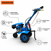 Nuevo Modelo 2026: Cultivador a Gasolina de Accionamiento Directo con Velocidad Variable, Ruedas de Hierro y Goma, Motor de 4 Tiempos para Zonas Montañosas - Proveedor