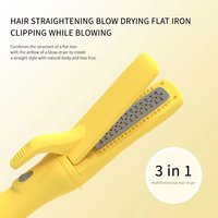 Styler 3 en 1 1000W Sèche-cheveux électrique de salon Lisseur Boucleur Brosse à air chaud Sèche-mains Usage domestique
