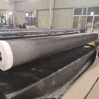 Filet de drainage géocomposite tridimensionnel en HDPE avec géotextile non tissé pour la protection des pentes