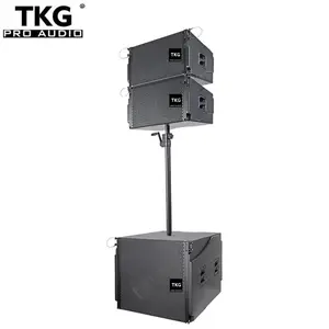 TKG PR10 single 10 inch 450W outdoor line array sound system