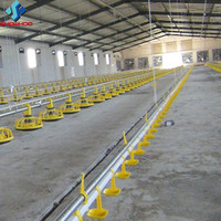 Estructura de Acero Galvanizado Prefabricada para Gallineros, Aislamiento Térmico, Anticorrosión, para Cría de Pollos de Engorde y Ponedoras