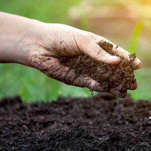 Sản phẩm phân bón sinh học Natri humate - Product Image 1