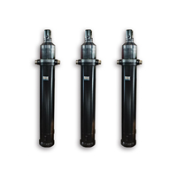 Vérin hydraulique télescopique à simple effet de type EF à 5 étapes, personnalisé avec une longue durée de vie et une garantie de 14 mois