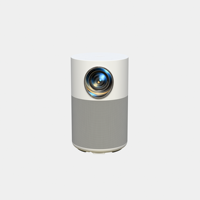 Projecteur intelligent portable rond Android 14, 200 ANSI Lumens, 1280*720P, correction automatique de la distorsion trapézoïdale, durée de vie LED 30000H, projecteur de cinéma maison OEM