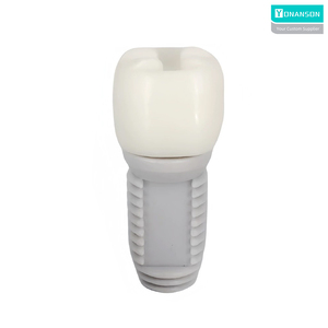 Ổ đĩa <span class=keywords><strong>USB</strong></span> cấy ghép nha khoa 100% Tùy chỉnh hình PVC Pendrive 2.0 3.0 Flash Drive 8GB 16GB 32GB <span class=keywords><strong>USB</strong></span> Stick 64GB 128GB U đĩa - Product Image 2