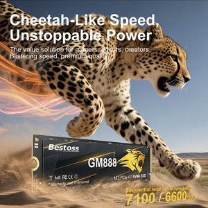 SSD Internal Bestoss Harga Bagus, Penjualan Terlaris, Pabrik OEM Grosir M2 SSD 2280 512GB 1TB 3D NAND SSD NVMe untuk Laptop dan Desktop - Product Image 3