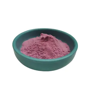 Factory Supply acai berry extract anthocyanin 25% acai berry extract