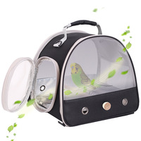 Cage de transport portable pour perroquet et perruche avec perchoir et tapis, petite cage de voyage pour oiseaux pour l'extérieur