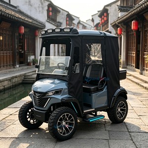 Light Blue Two‑seat Golf Cart With Black Enclosed Canopy New Design High Quality Affordable Price Electric Golf <b>Buggy</b> - Product Image 6