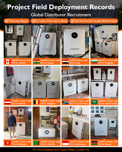 5kWh 10kWh 16kWh Stockage d'énergie domestique 5KW 10KW Lifepo4 Powerwall 48V 100Ah 200Ah 314ah 51.2V Batterie murale énergie solaire - Product Image 4