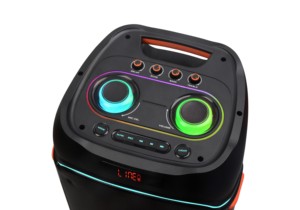 Haut-parleur de karaoké portable puissant de 80 W avec deux haut-parleurs de 10 pouces, roues, micro intégré, lumières LED RGB 5.0 et télécommande - Product Image 2
