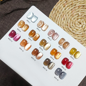 AILANUO 15 Couleurs Set 5d Cat Eye Gel Polish Galaxy Gel Private Label OEM Private Label 3d Cat Eye Color Gel Nail Polish - Product Image 1