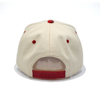 Gorra de Béisbol de 5 Paneles de Algodón Ajustable con Visera Curva y Logotipo Bordado en 3D Personalizado ODM OEM