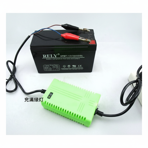 Cargador de Alta Potencia de 12V Totalmente Inteligente para Baterías de Inversor con Corriente de Entrada de 15A y Voltaje de Salida de 24V, Estándar de Enchufe Australiano - Product Image 1