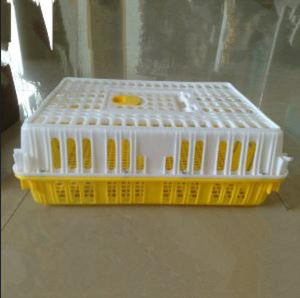 Nouvelles caisses de transport pour poulets, cage/poulailler <span class=keywords><strong>en</strong></span> plastique PE bon marché avec une capacité de 7 à 10 poulets, caisses agricoles - Product Image 5