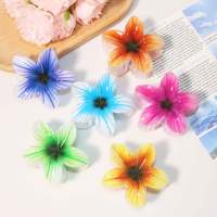 Jepit Rambut Bunga Frangipani 6cm Motif Cottagecore, Cetak UV, Gaya Vintage Prancis, Plastik Mengkilap, Datar, Nyaman, Tahan Pecah, Kemasan Karton