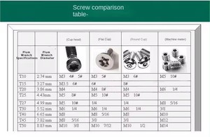 Cờ lê lực đa năng tiêu chuẩn quốc tế, mạ niken, sản xuất tại Trung Quốc, tùy chỉnh theo yêu cầu, kích thước T6-T30, hỗ trợ OEM, dùng cho việc tự sửa chữa, loại Plum Torx. - Product Image 3