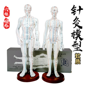 Modelo Global de Meridianos de Acupuntura, Masculino 50cm, Femenino 48cm, Plástico Flexible para Enseñanza y Práctica - Product Image 1