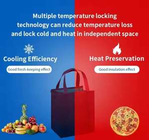 Sac isotherme réutilisable de grande taille en aluminium non tissé de haute qualité, sac à déjeuner portable, sac isotherme avec fermeture éclair - Product Image 2