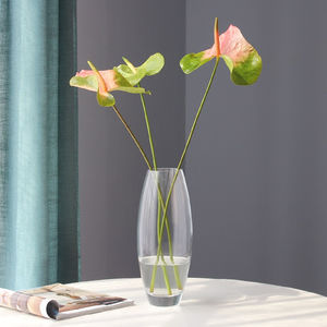 Commercio all'ingrosso prodotti di vendita calda il vaso di vetro <span class=keywords><strong>ovale</strong></span> vaso di fiori decorativo vaso di vetro - Product Image 3