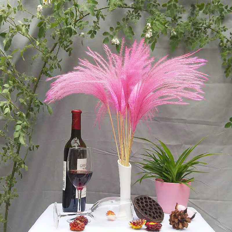 Большой тростник сушеный цветок букет искусственных цветов украшение для дома реквизит для фотосъемки натуральный вечный цветок пампасная трава