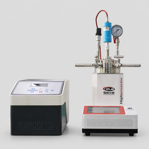 Réacteur de laboratoire de type spécial 316L HT-CSB 12,5 MPa avec disque de <span class=keywords><strong>rupture</strong></span> et manomètre - Product Image 2