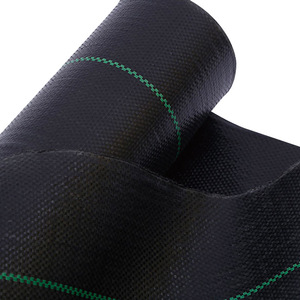 ผ้าคลุมดิน HDPE แบบธรรมดา ผลิตภัณฑ์จากซานตง สำหรับการเกษตร ป้องกันวัชพืช ใช้สำหรับทำสวน ไร่ผลไม้ และโรงเรือนเพาะชำ ระบายอากาศได้ดี ซึมน้ำได้ <span class=keywords><strong>B</strong></span>... - Product Image 1