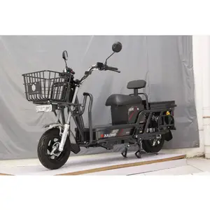 Cargo Delivery Loading King 400kg Electric Motorcycle Long Range Cheaper Price