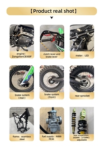 GX-CQR-PR300 21HP Motor de 4 Tiempos Monocilíndrico Refrigerado por Aire 300cc Motocicleta Todoterreno Tanque de Combustible de 13L Carburador NIBBI PE30 Transmisión de 6 Velocidades SFR <span class=keywords><strong>520</strong></span> - Product Image 5
