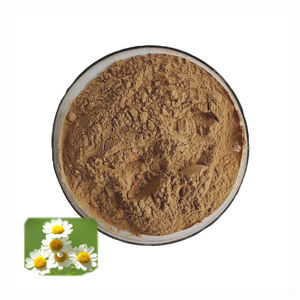 Polvo de extracto de matricaria puro de grado alimenticio de alta calidad Venta caliente EXTRACTO DE <span class=keywords><strong>Tanacetum</strong></span> <span class=keywords><strong>Parthenium</strong></span> con 0.8% Parthenolide - Product Image 1