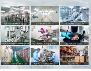 麗吉堂膝痛緩和パッチOEM ODMサプライヤーCE認証済みハーブカプサイシンメントール製造ライン - Product Image 6