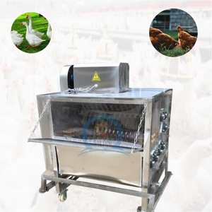 Plumeuse Commerciale Robuste pour Volailles – Machine Électrique Durable pour l'Épilation des Oies, Canards et Poulets – Idéale pour les Abattoirs - Product Image 3