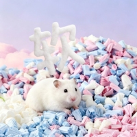 Granulés de papier pop-corn colorés, naturels, doux, désodorisants et absorbants pour la litière des petits animaux : hamster syrien, gerbille, cochon d'Inde
