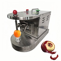 Mini Efficiënte en Duurzame Citroen-Limoen Citrus Schilmachine Commerciële Elektrische Kiwi Fruit Appel Sinaasappel Snelle Schilmachine