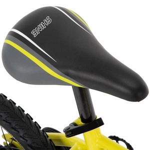 Bicycle Factory Manufacturer/OEM Accepted/12/14/16/18/20/children Bicycle with Training Wheel/kids <strong>Bike</strong> - Product Image 5
