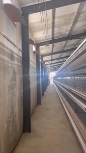 Chuồng gà loại A hoàn toàn tự động lồng 4-8 lớp với hệ thống mạ kẽm nhúng nóng sử dụng trang trại mới - Product Image 5