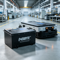 Paket Baterai Li-Ion Enerbyte Deep Cycle Solar LiFePO4 Lithium Ion untuk RV, Golf Cart, AGV, ISO
