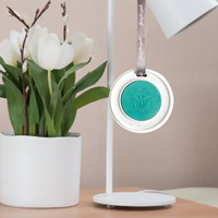 Cadeau de luxe pendentif arôme diffuseur de parfum de maison plâtre suspendu voiture pierre désodorisant pierre