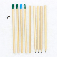 Crayon éducatif créatif de germination de graines de Capsule de bois brun biodégradable pour l'école primaire utilisation logo personnalisé en gros