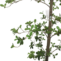 CHUANGFA 190cm Haie artificielle en plastique de haute qualité, style hawthorn de Hong Kong – Décorations murales réalistes pour Thanksgiving