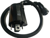 Bobine d'allumage de moto, pièces du système d'allumage, bobine d'allumage EFI pour moto YAMAHA DELPHI HONDA GYB