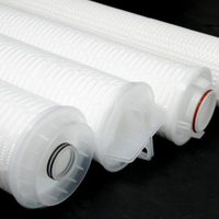 Präzisions wasserfilter elemente 20 Zoll 0,2 Mikron Absolute PP Plissee-Wasserfilter patrone Ersatz filter patrone