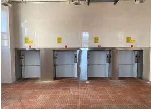 इलेक्ट्रिक 100 किलोग्राम 200 किलोग्राम छोटे माल लिफ्ट/डंबवेटर लिफ्ट/800*800 मिमी केबिन के साथ - Product Image 4