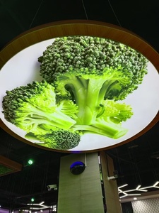 ZHIHAI Đèn Trần Led Pvc Mây Hình Cây Bầu Trời Câu Cá - Product Image 3