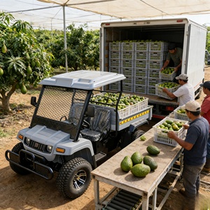 Véhicule utilitaire électrique tout-terrain 2 places, 4x4, pour le transport de marchandises en ferme et verger, avec garantie de 3 ans - Product Image 3