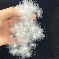 90% duvet d'oie naturel entièrement lavé duvet d'oie blanc haute force de remplissage duvet d'oie